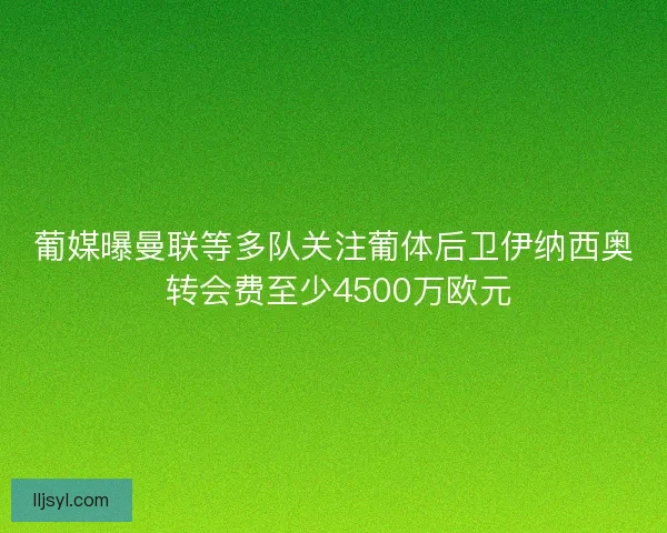 葡媒曝曼联等多队关注葡体后卫伊纳西奥 转会费至少4500万欧元